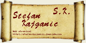 Stefan Kajganić vizit kartica